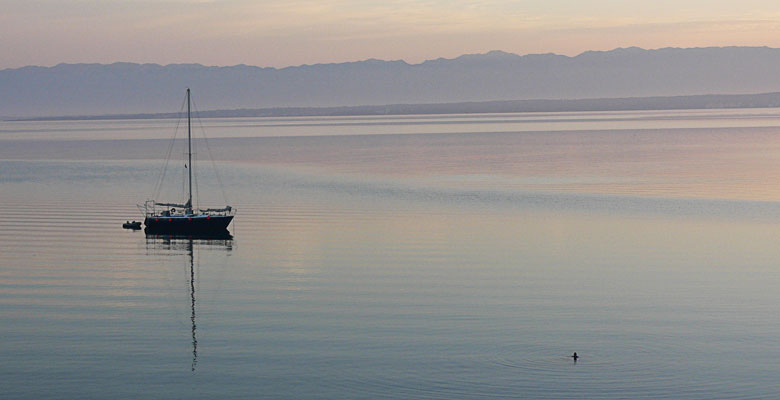 Dreamy Morning