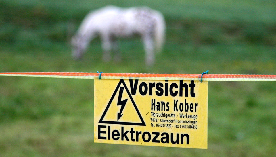 Electrocution