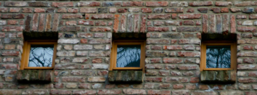 Thumbnail Windows