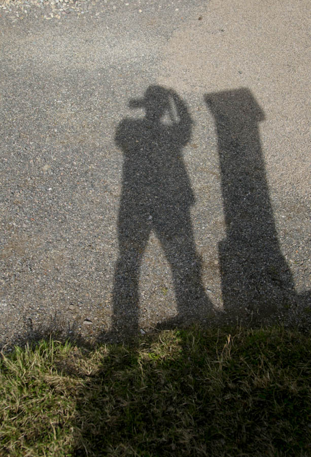 My Shadow