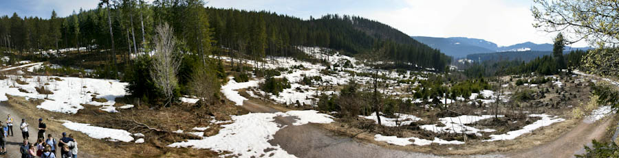 Black Forest
