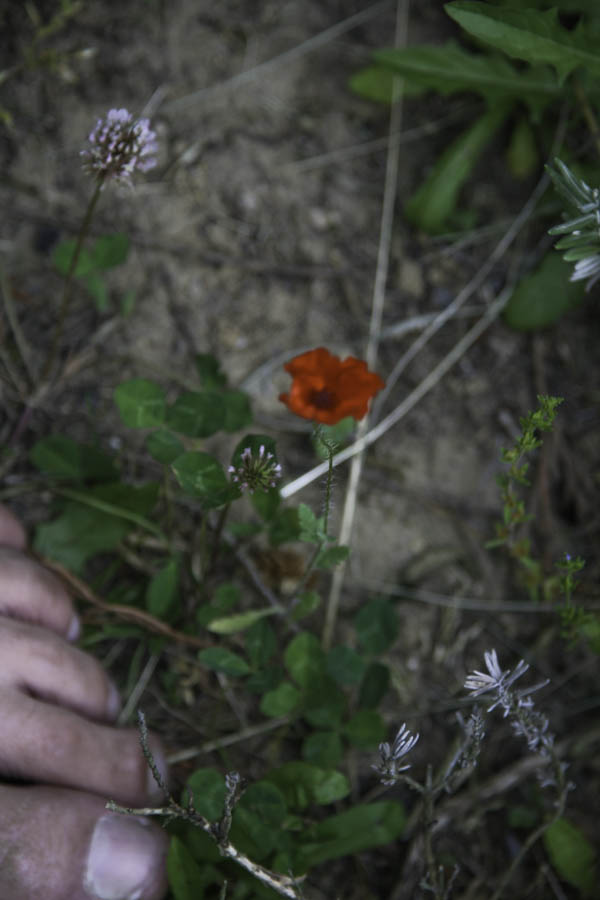 Very Small