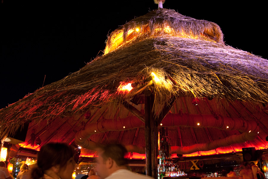 Thatched Hut