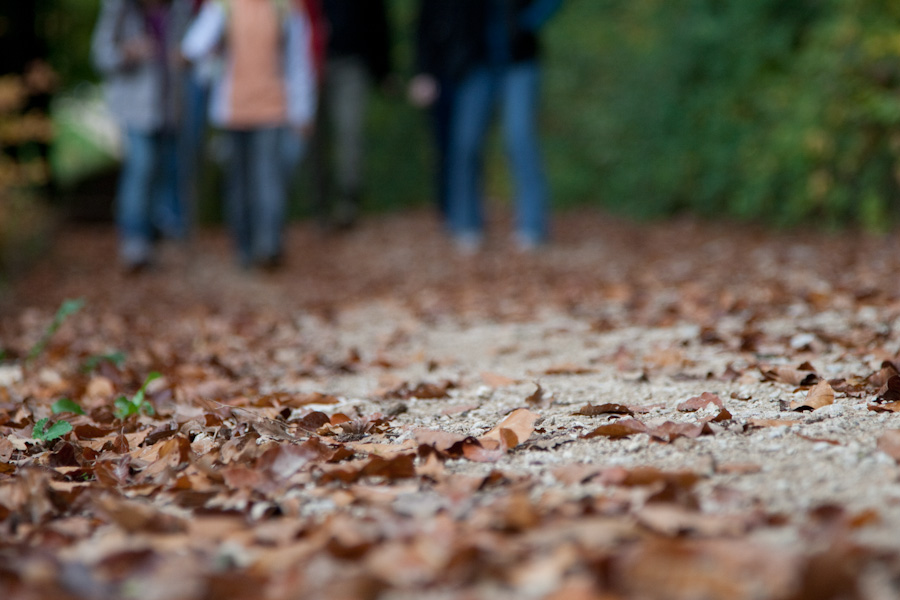 Trail