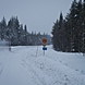 You have to drive slower in Sweden than in Sweden