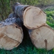 Logs