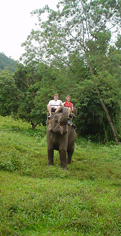 Elephant ride Elephant ride