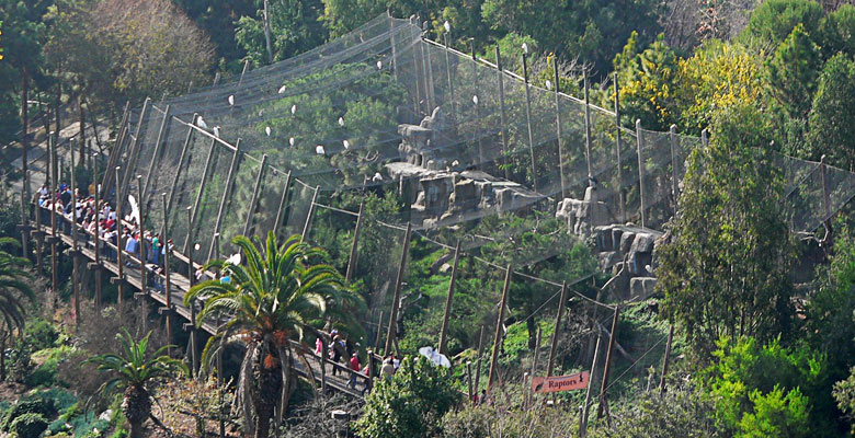 Birdcage, home of condor, eagle and harpy