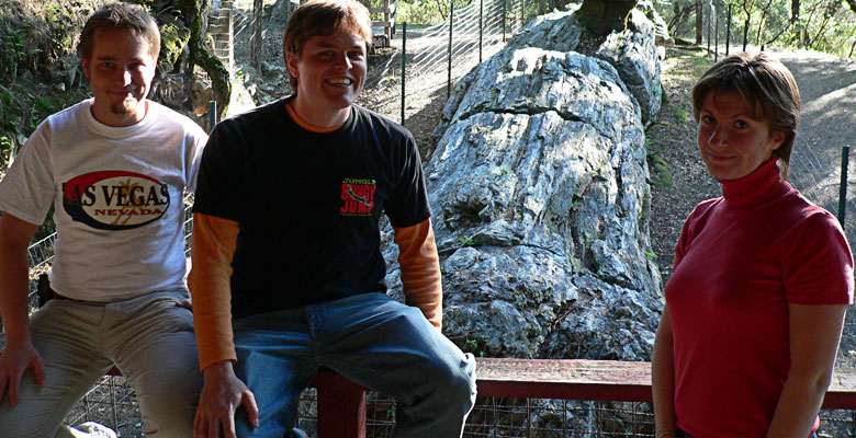Three interns in front of a peace of petrified wood.