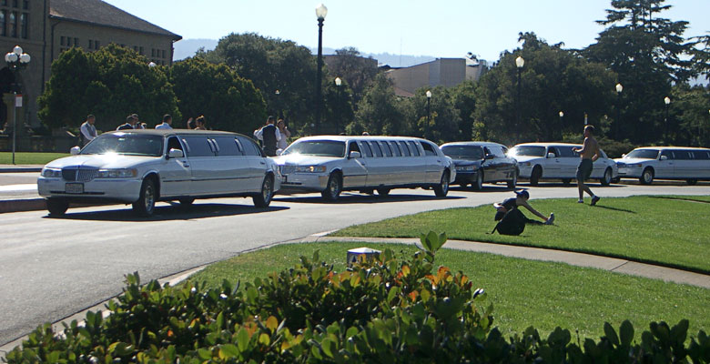 Limousines, lots of them.