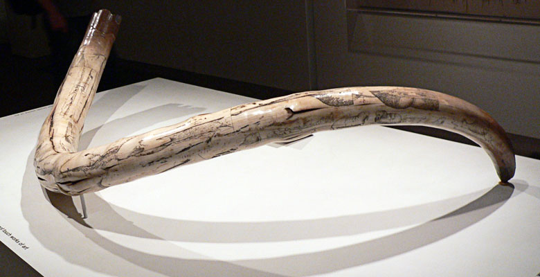 Mammoth tusk
