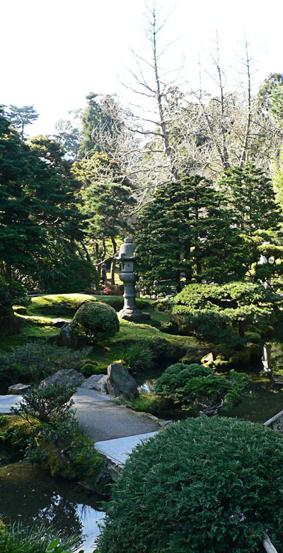 Tea garden