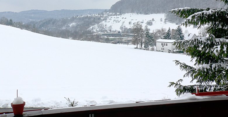 View from Truchtelfingen to Ebingen, snow covered